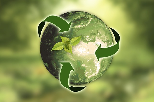 recyklace ve světě